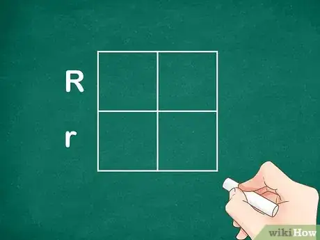 Image titled Determine Genotype Step 2