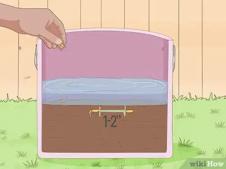 Image titled Plant Rice Indoors Step 8