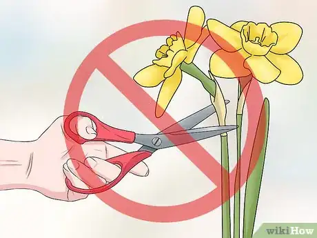 Image titled Make a Bulb Garden Step 24