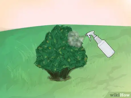 Image titled Get Rid of Downy Mildew in Your Plants Step 2