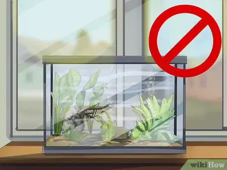 Image titled Start a Saltwater Aquarium Step 13