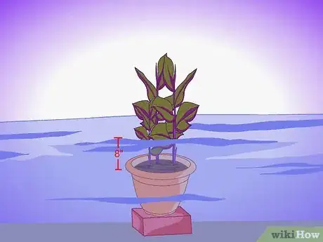 Image titled Plant Aquatic Plants Step 22