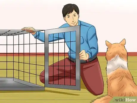 Image titled Care for Shelties Step 20