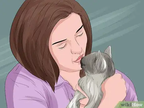 Image titled Decide Who Gets the Pet in a Divorce Step 12