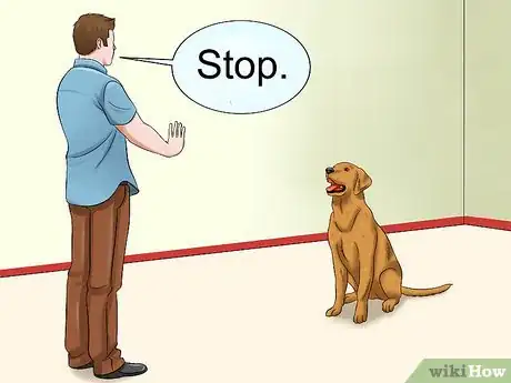 Image titled Deal with Having a Visually Impaired Dog Step 10
