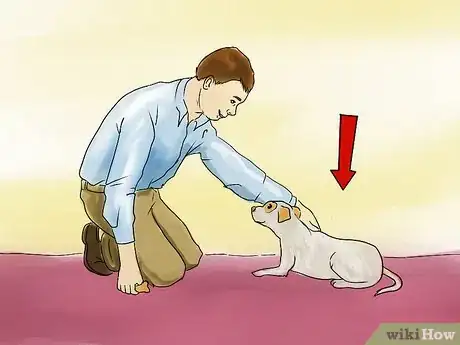 Image titled Teach a Small Dog to Lie Down on Command Step 10