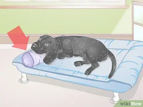 Image titled Choose a Dog Bed for a Senior Dog Step 8