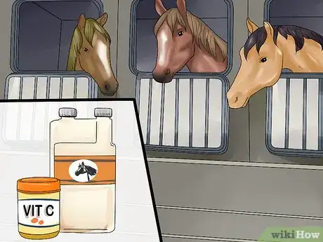 Image titled Take Your Horse on a Long Trailer Ride Step 9