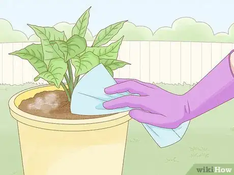 Image titled Get Rid of Mold on Houseplants Step 7