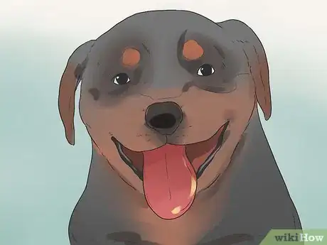 Image titled Care for Rottweilers Step 13