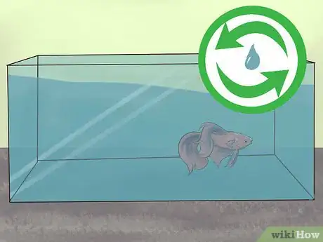 Image titled Transport Fish Step 2