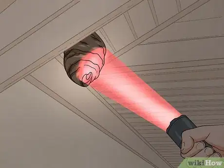 Image titled Keep Hornets Away Step 17