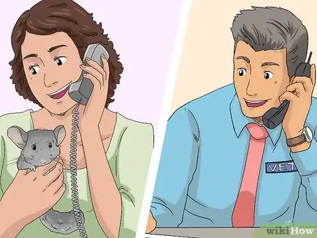 Image titled Manage Fur Slip in Chinchillas Step 8