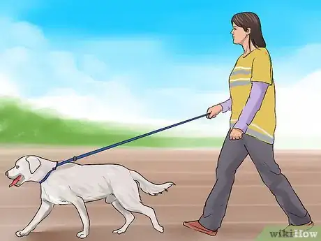 Image titled Encourage Your New Dog to Listen to You Step 12