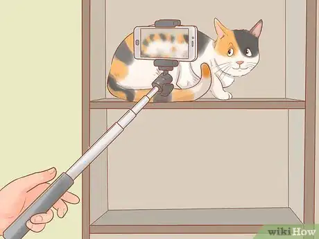 Image titled Take Action Photos of a Cat Step 12