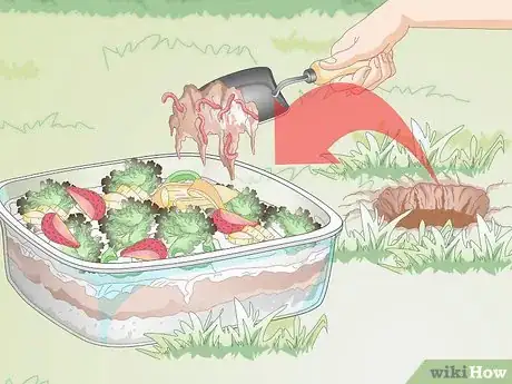 Image titled Build a Wormery Step 8