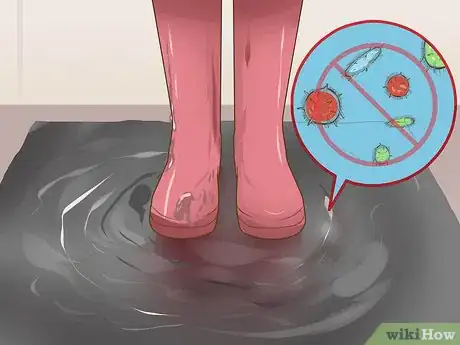 Image titled Prevent Bird Flu (Avian Influenza) Step 9