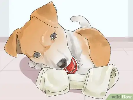 Image titled Give Your Dog a Treat Step 10