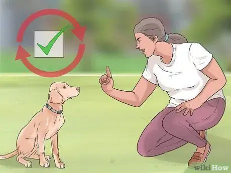 Image titled Have a Happy Weimaraner Step 2