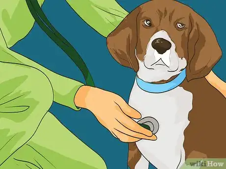 Image titled Handle Holiday Travel with Your Pet Step 18
