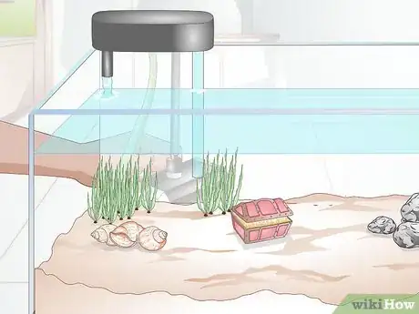 Image titled Set up a Community Fish Tank Step 5