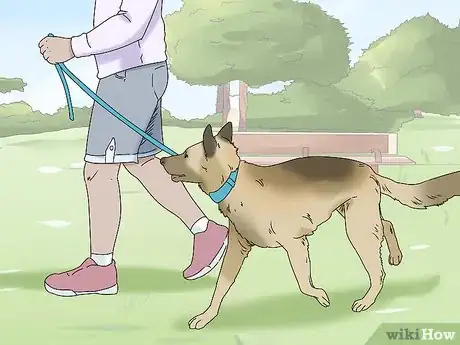 Image titled Walk a Dog on a Leash Step 12