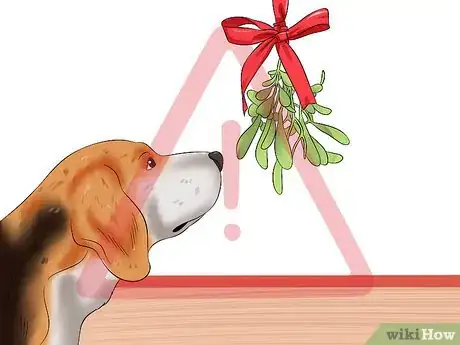 Image titled Protect Your Dog from Holiday Hazards Step 1