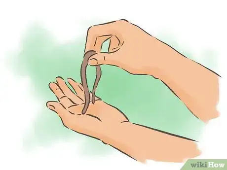 Image titled Make a Worm Compost System Step 6