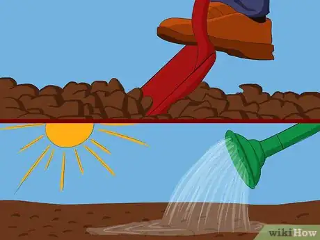 Image titled Grow Japanese Blood Grass Step 1