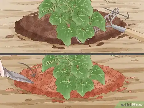 Image titled Prepare Garden Mulch Step 6
