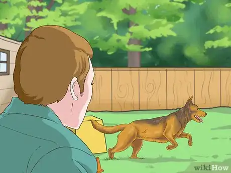 Image titled Manage Behavioral Dysfunction in Older Dogs Step 12