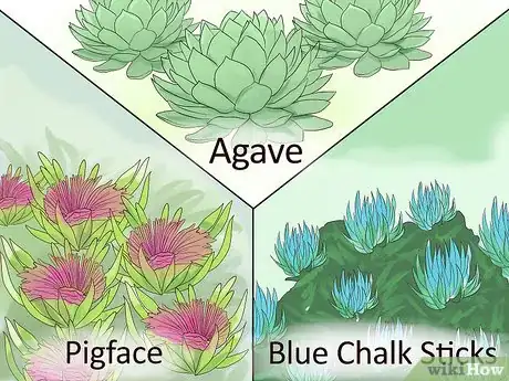 Image titled Design a Beach‐Themed Garden Step 10
