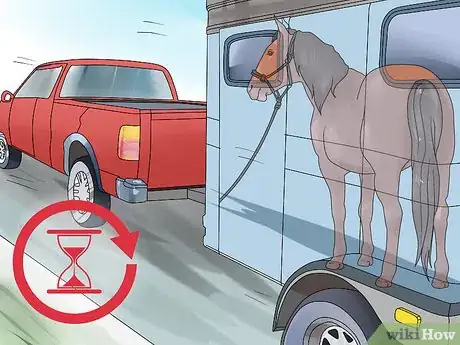 Image titled Take Your Horse on a Long Trailer Ride Step 7