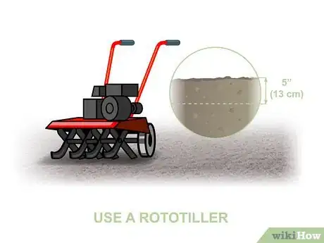 Image titled Grow Centipede Grass Step 12