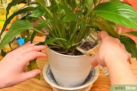 Image titled Use Overripe Bananas Step 16