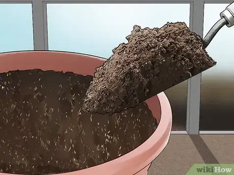 Image titled Grow English Ivy Indoors Step 5