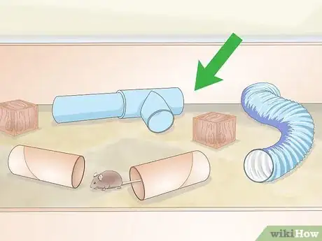 Image titled Exercise Your Gerbil Step 4