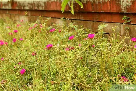 Image titled Make Fake Rocks with Concrete Step 16