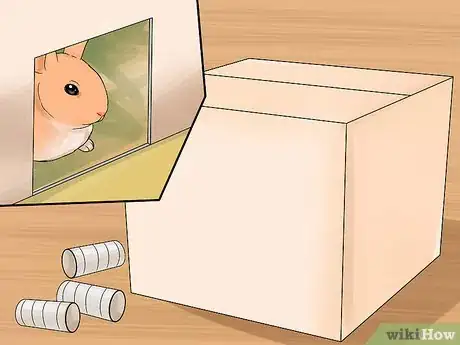 Image titled Care for Palomino Rabbits Step 17