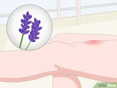 Image titled Make Herbal Lotions and Salves Step 1