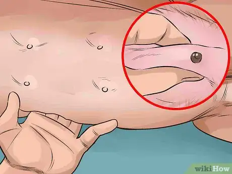 Image titled Handle a Mother Dog Refusing to Stay with Her Puppies Step 6