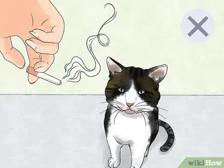 Image titled Protect Pets from Secondhand Smoke Step 2