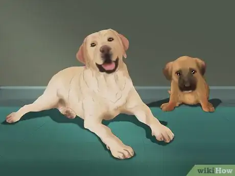 Image titled Choose Healthy Dog Food Step 1