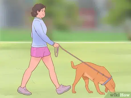 Image titled Keep Your Dog Entertained Step 1