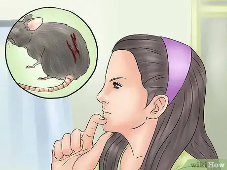 Image titled Humanely Kill a Rodent Step 20