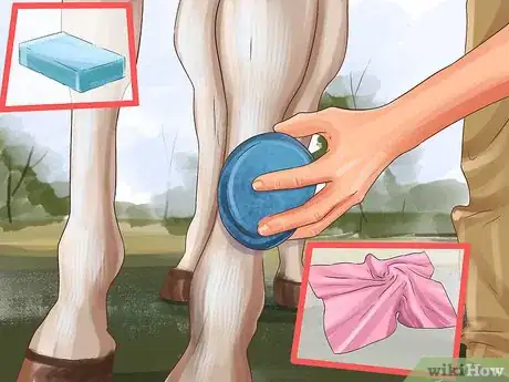 Image titled Assemble a Horse Grooming Kit Step 13