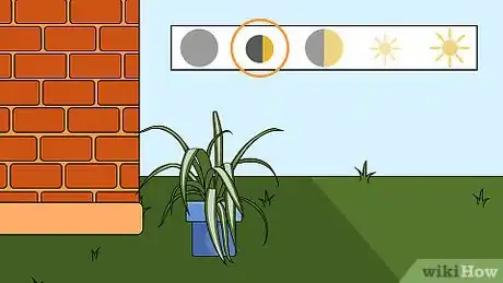 Image titled Care for a Spider Plant Step 2