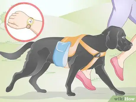 Image titled Fit a Dog Backpack Step 15