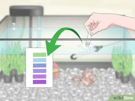 Image titled Care for Fancy Goldfish Step 9