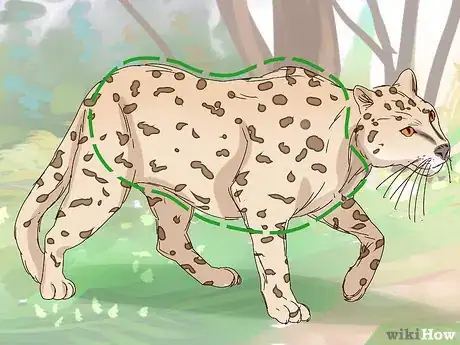 Image titled Tell a Cheetah and Leopard Apart Step 10